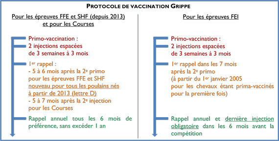 tableau protocole vaccination grippe