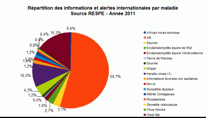 Répartition Alertes Informations Internationales 