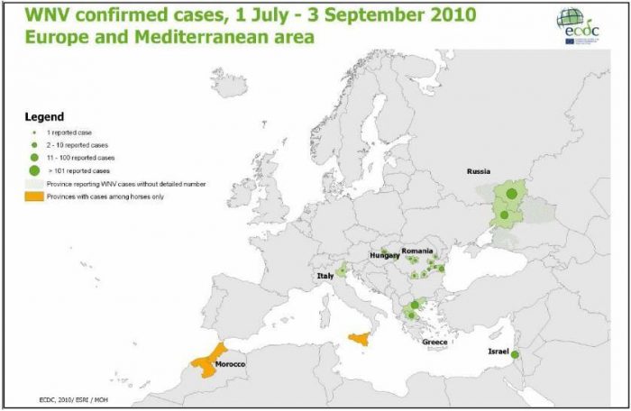 Infection par le virus WNV dans le bassin méditerranéen 2010