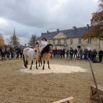Rencontres du RESPE 2021 – « Fièvre de cheval : comment réagir ? »