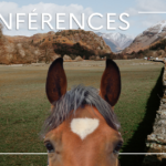 Webconférences IFCE – février 2023