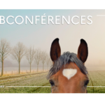 Webconférences IFCE – mars 2023