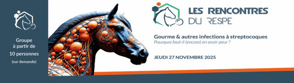 RENCONTRE 2023 : TARIF DE GROUPE (PLUS DE 10 PERSONNES) : NOUS CONTACTER