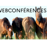 Webconférences IFCE – février 2024