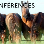 Webconférences IFCE – mars 2024