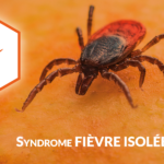 Fièvre isolée, quels sont les syndromes associés ?
