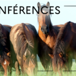 Webconférences IFCE – avril/mai 2024