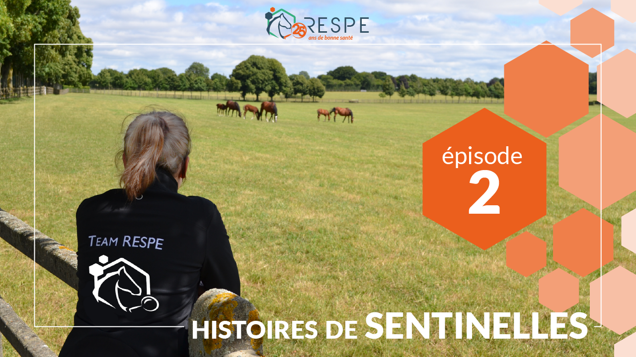 Histoire de Sentinelle : Dr Hameline Virevialle