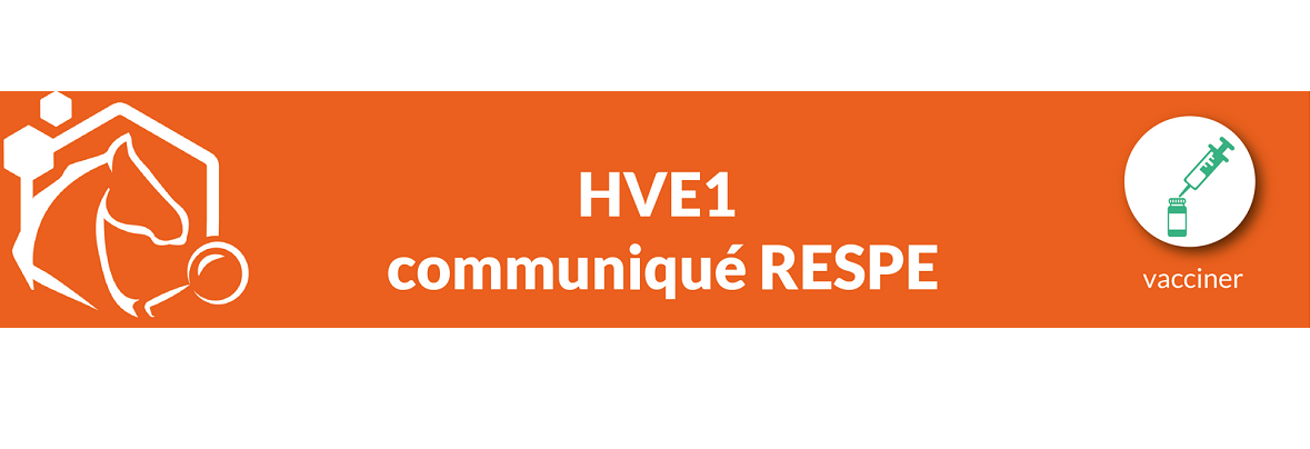 COMMUNIQUE DE PRESSE – Foyer d’Herpèsvirose de type 1 (HVE1) – 25/11/2024