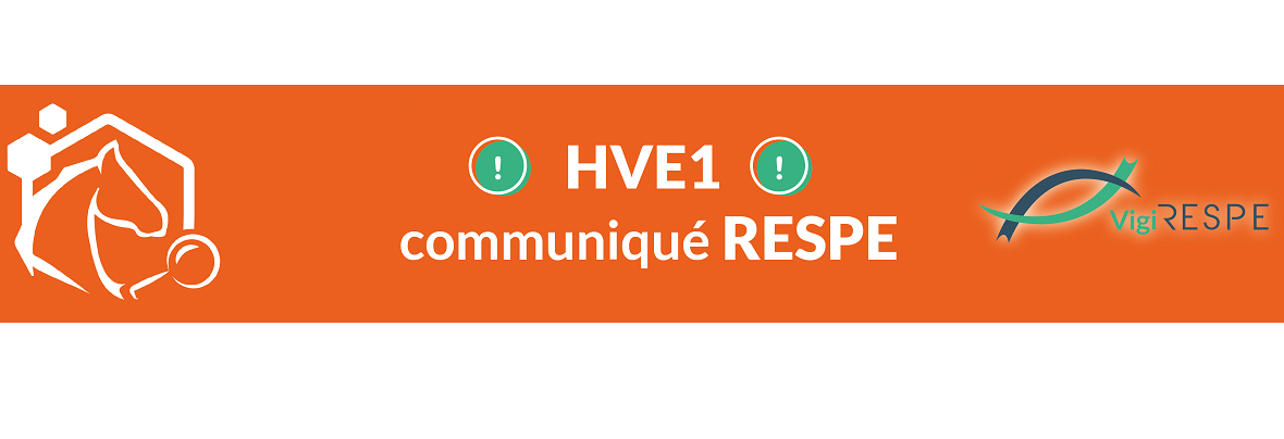 COMMUNIQUE DE PRESSE – Foyer d’Herpèsvirose de type 1 (HVE1) – 02/12/2024