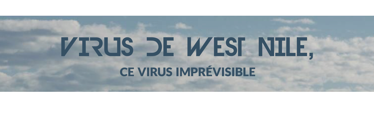 Camille Migné, experte du RESPE, vous explique tout sur le virus de West Nile, ce virus responsable d’épidémies imprévisibles