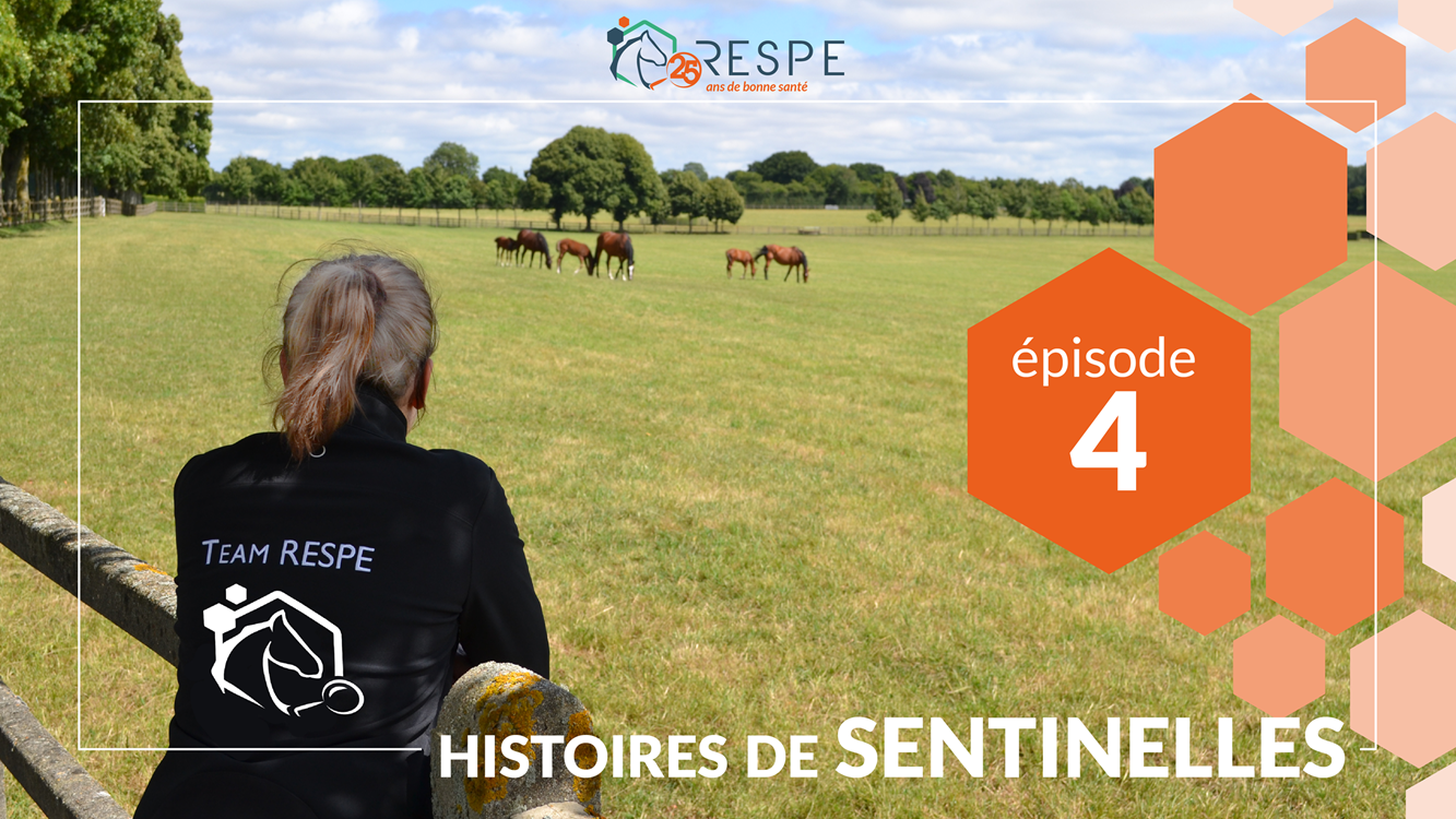 Histoires de Sentinelles : Dr Charlotte Degien