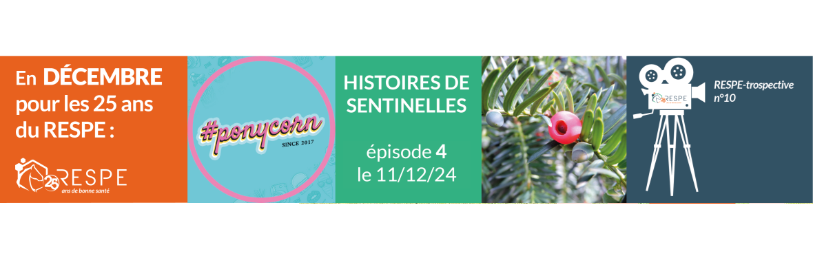 🎉 [Le RESPE à 25 ans] 🐎 – 👏 les temps forts de décembre