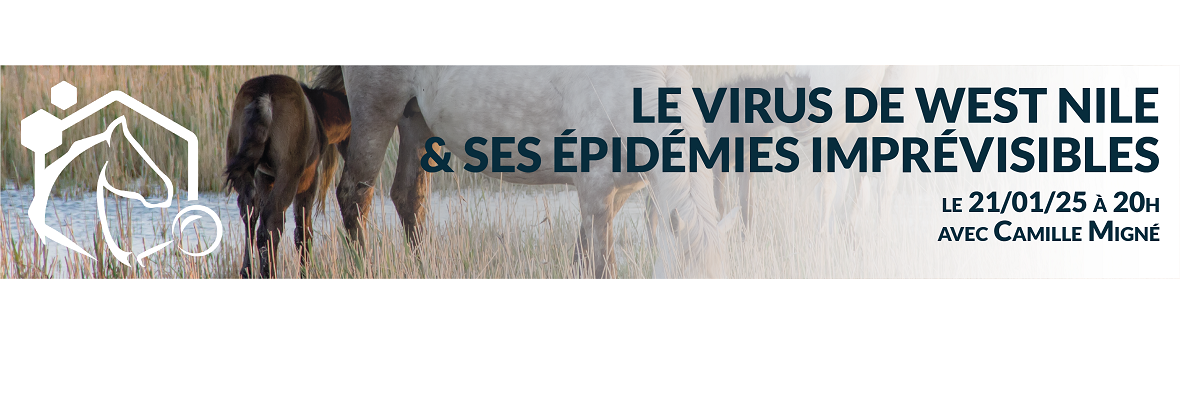 2è webinaire du partenariat RESPE x Miliepattes : notre experte Camille Migné vous explique tout sur le virus de West Nile et ses épidémies imprévisibles !