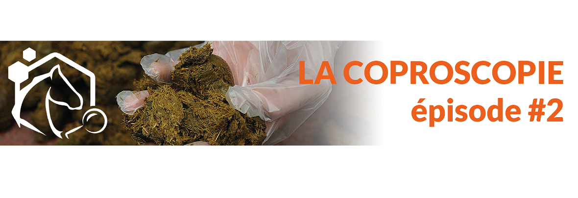 La coproscopie, pour quoi faire ?