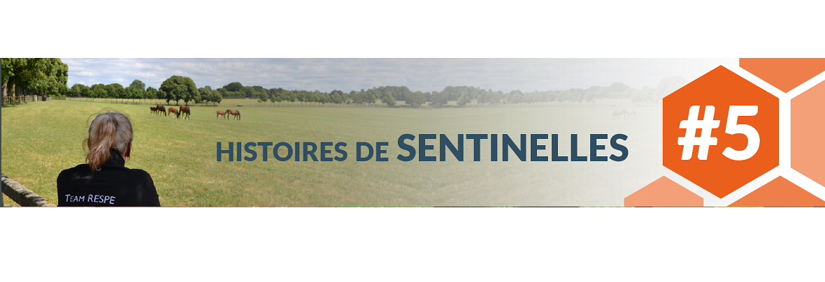 Les Histoires de Sentinelles du RESPE #5