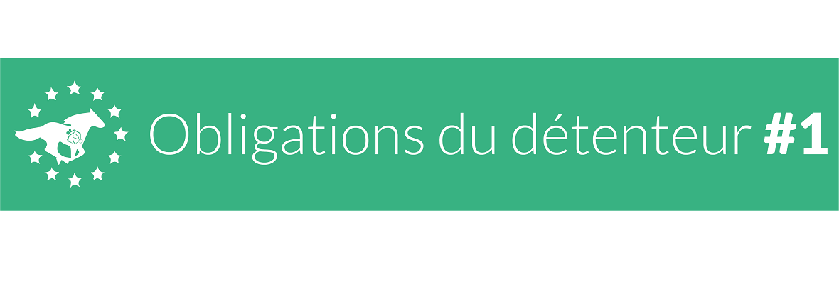 Identification des chevaux : connaissez-vous vos obligations de détenteur ?