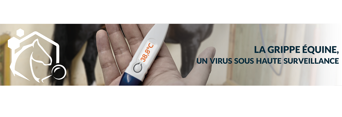 Retrouvez la webconférence de Stéphane Pronost pour le RESPE : la grippe équine, un virus sous haute surveillance, en partenariat avec l’IFCE.