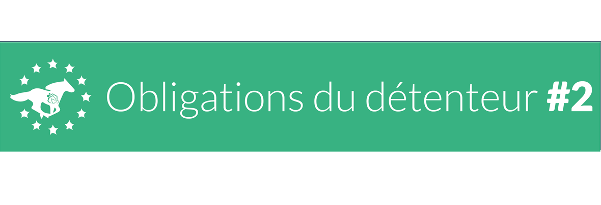 Vous êtes propriétaire ou futur propriétaire d’un cheval ?