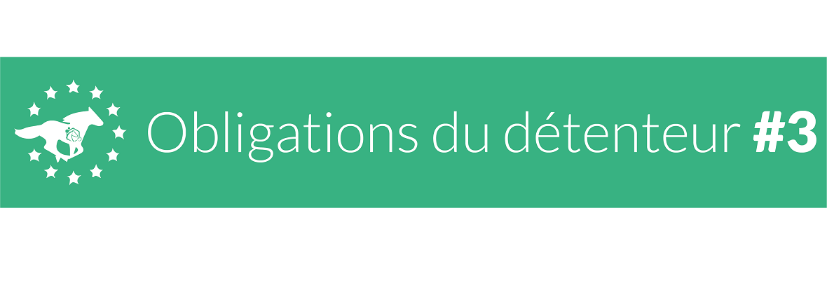 Qui doit se déclarer détenteur d’équidé ?