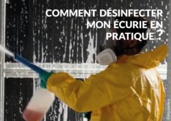 desinfection_site2