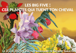 big five_site2