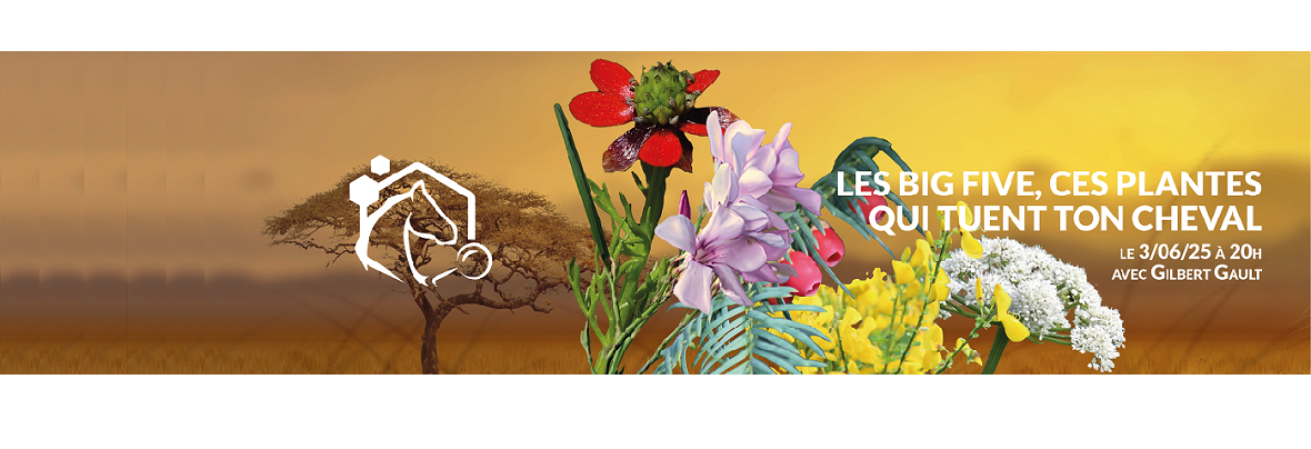 Retrouvez notre expert Gilbert Gault pour un nouveau webinaire sur les big five, ces plantes qui tuent un cheval