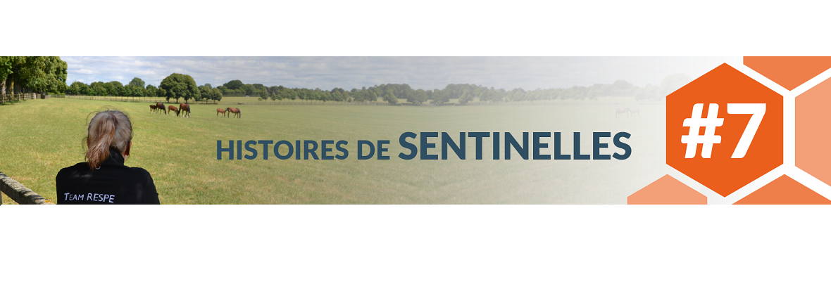 Les Histoires de Sentinelles du RESPE #7