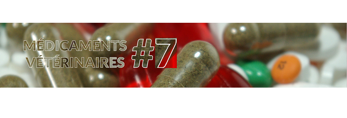 Comment éliminer les restes de médicaments non utilisés, ou périmés ?
