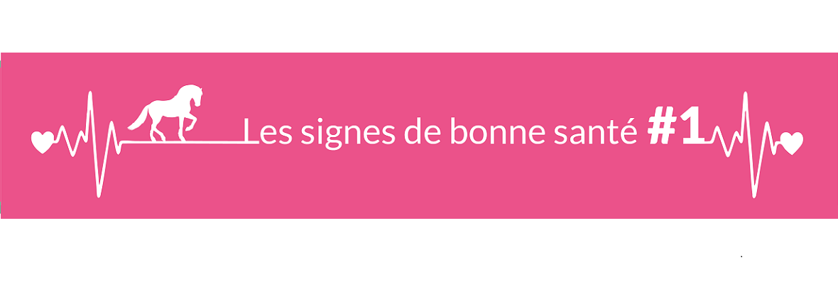 Quels sont les paramètres physiologiques à évaluer chez les équidés ?