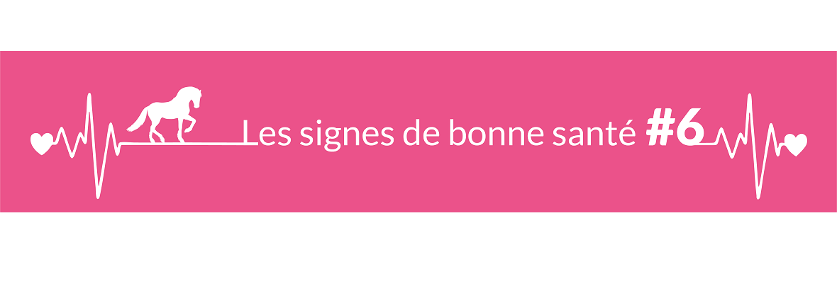 Quel est l’état normal des muqueuses d’un cheval adulte au repos ?
