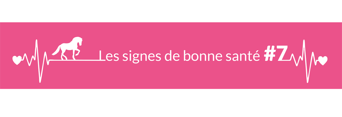 Quels types d’écoulements nasaux et/ou oculaires surveiller ?