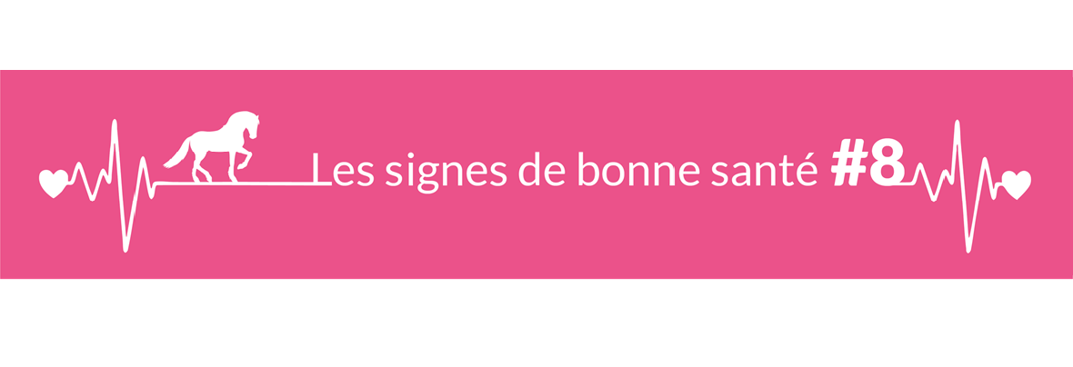 Quel est l’état normal d’hydratation d’un cheval adulte au repos ?