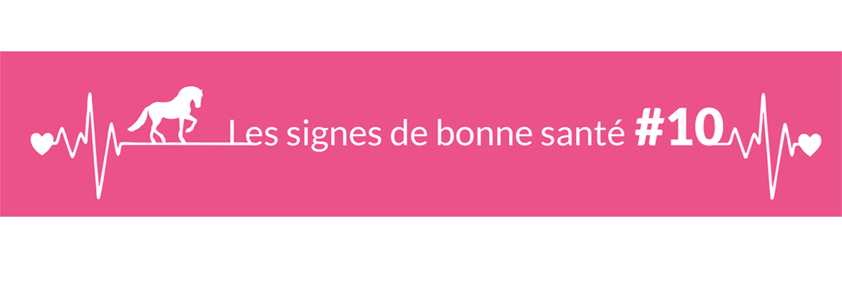 Quel est l’aspect des crottins chez un cheval adulte en bonne santé ?