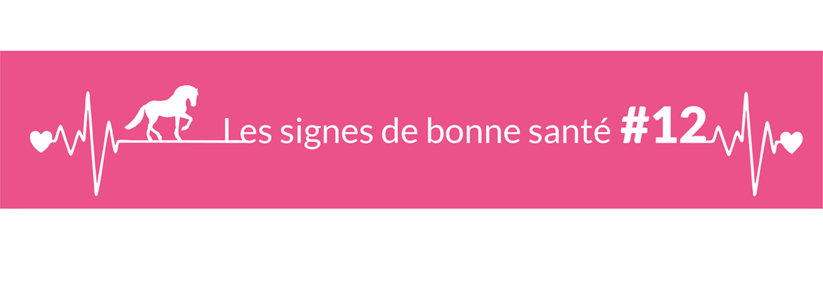 Quel est l’état des pieds d’un cheval adulte en bonne santé ?