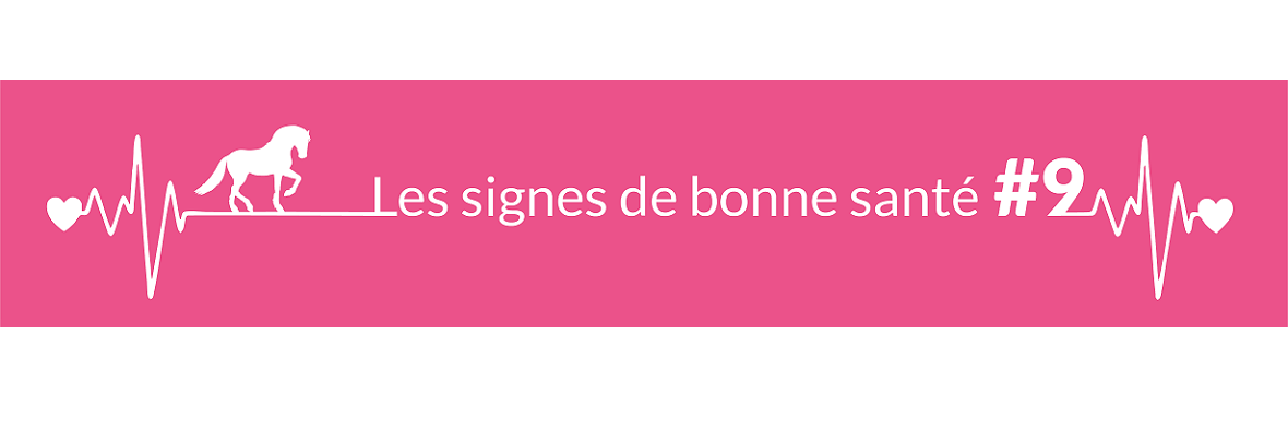 Quel est l’état du poil du cheval adulte en bonne santé ?