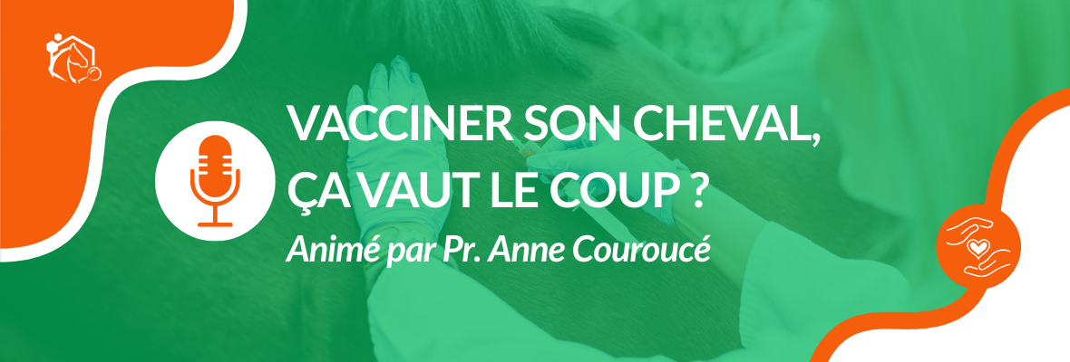 Webinaire – Vacciner son cheval, ça vaut le coup ?