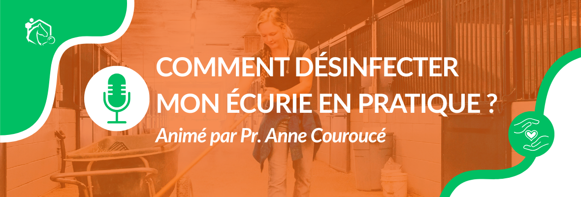 Comment désinfecter mon écurie en pratique ?