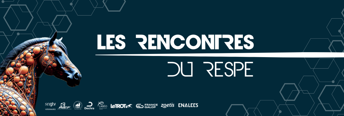 Les 8ᵉ Rencontres du RESPE : rendez-vous le 27 novembre 2025 à Saumur
