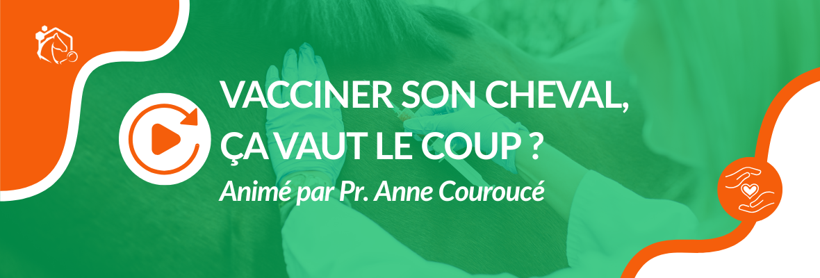 Replay — Webinaire : Vacciner son cheval, ça vaut le coup ?