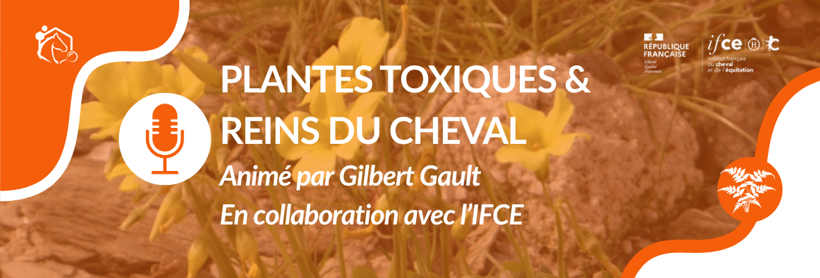 Webconférence IFCE — Plantes toxiques & reins du cheval
