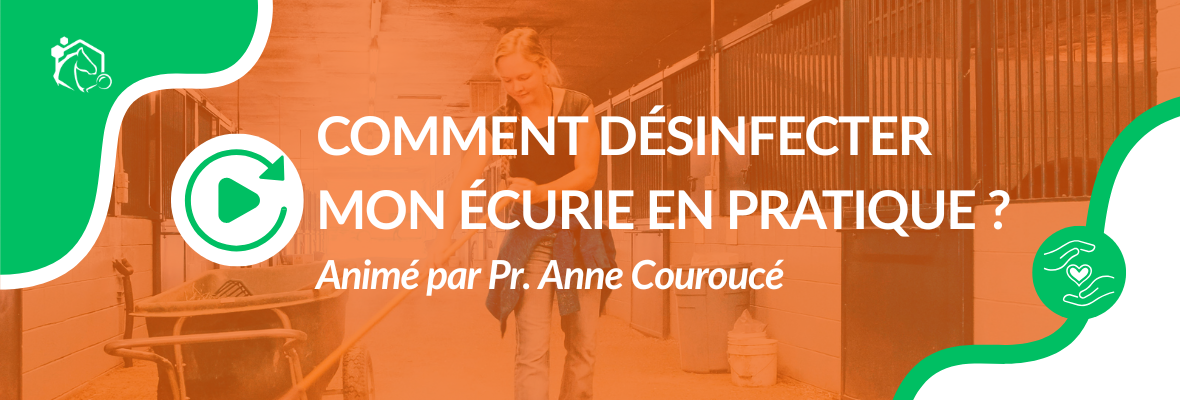 ▶️ Replay disponible : Webinaire « Comment désinfecter mon écurie en pratique ? »