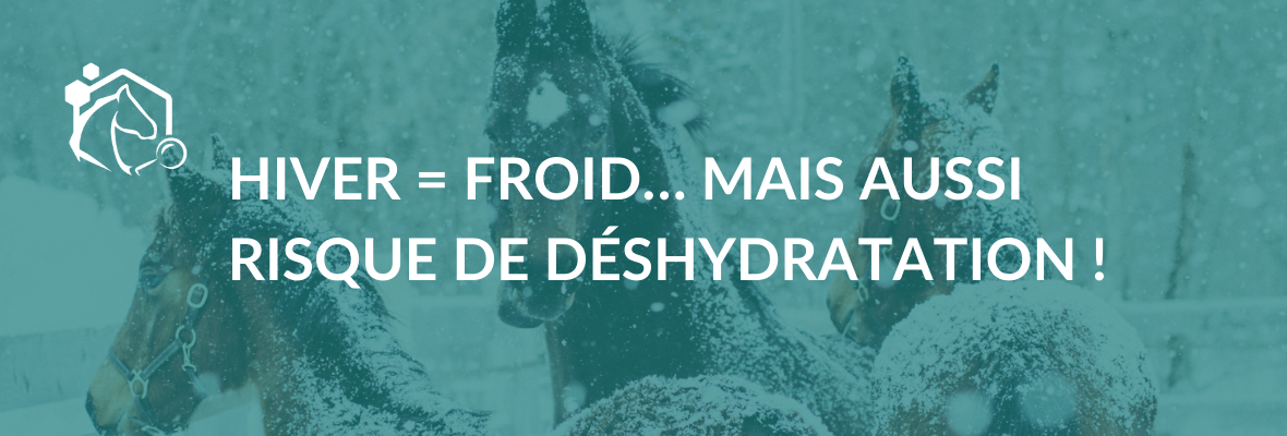 Abreuvement en hiver : un enjeu souvent sous-estimé