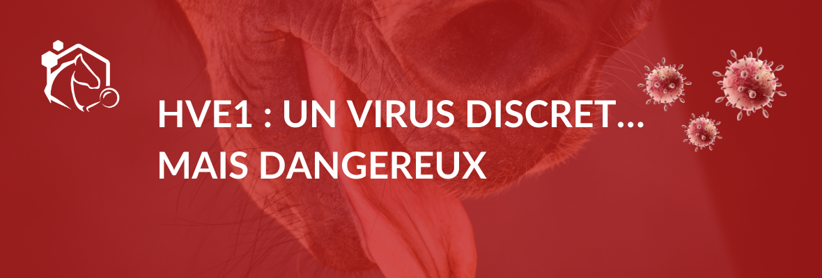 HVE1 : comprendre les risques, renforcer la prévention