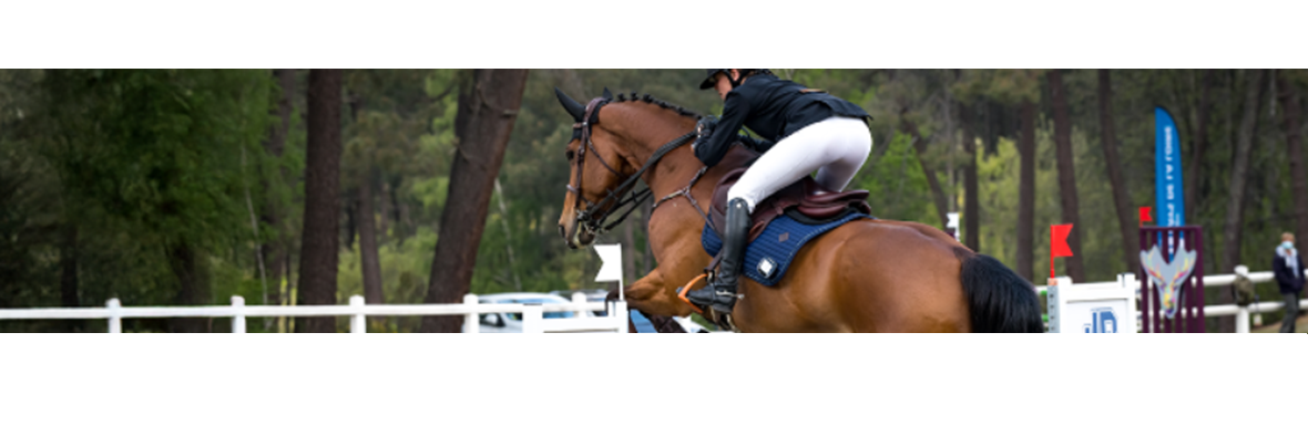 Lettre d’information IFCE – Décembre 2025 : une fin d’année riche pour la filière équine