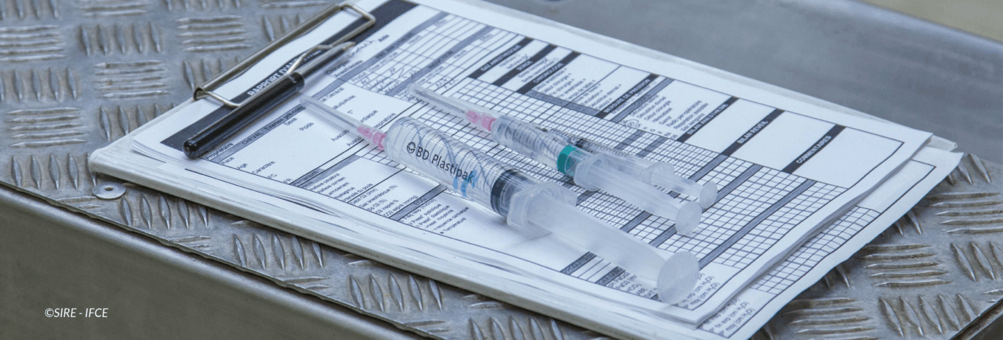 Déclarer une maladie chez un cheval : un geste essentiel pour vous et pour la filière équine