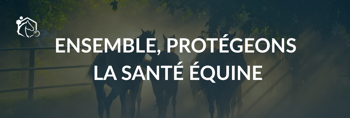 Ensemble, protégeons la santé équine en France