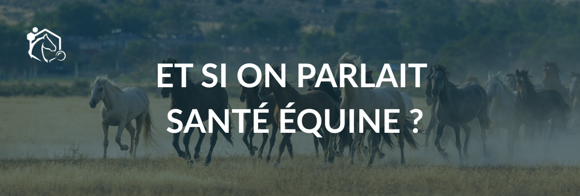 Ensemble, agissons pour la santé équine
