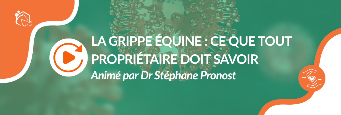 Replay disponible – Tout ce que vous devez savoir sur la grippe équine