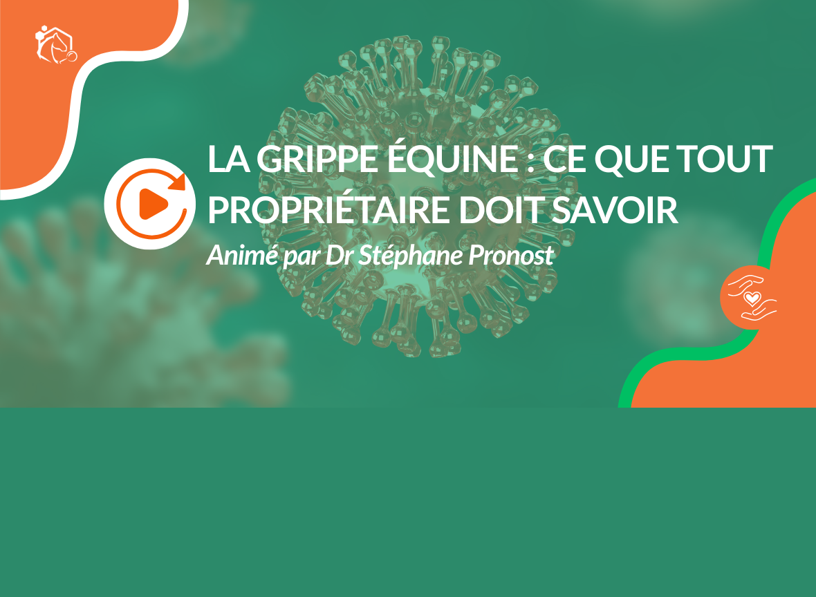 Replay disponible – Tout ce que vous devez savoir sur la grippe équine ...